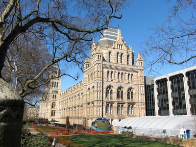United kingdom museum of natural history museum photo