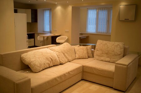 Apartment sofa chair