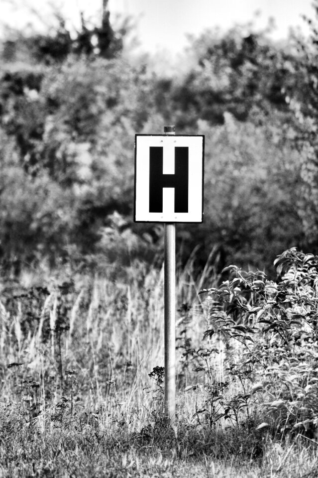 Overgrown railway signposts