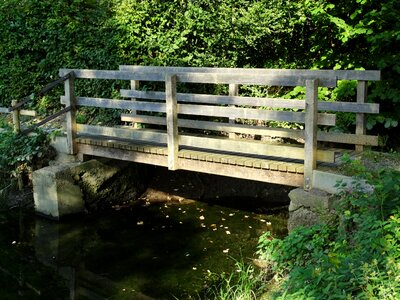 Nature boardwalk transition photo