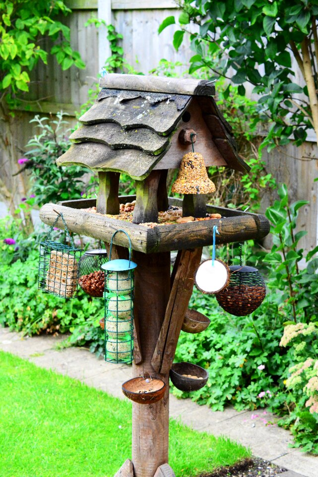 Garden feeder perch