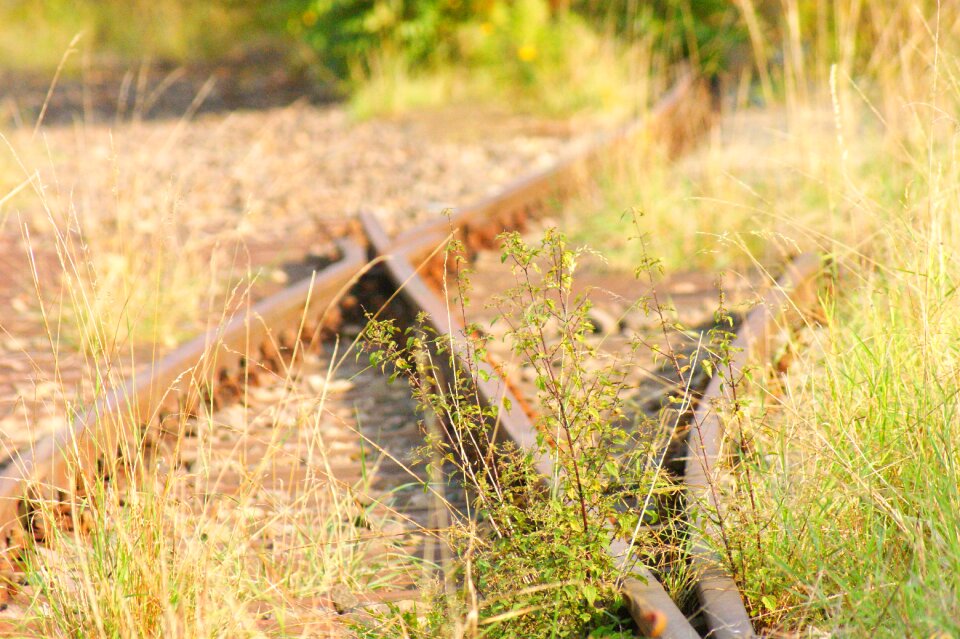 Mystical lapsed rails