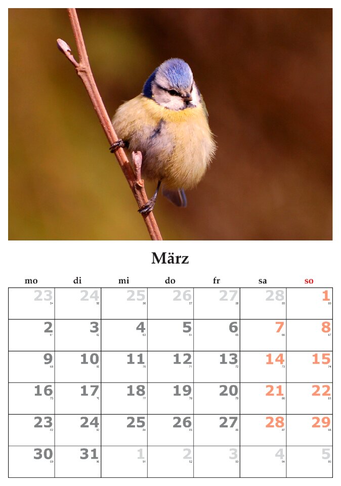 Month march march 2015