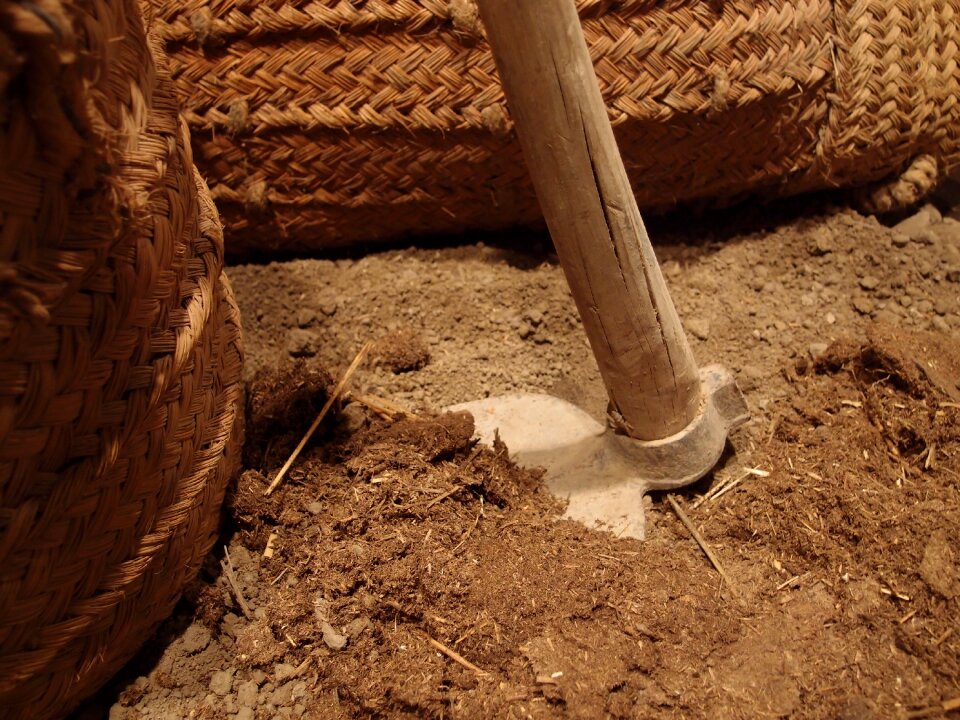 Agriculture traditional rural