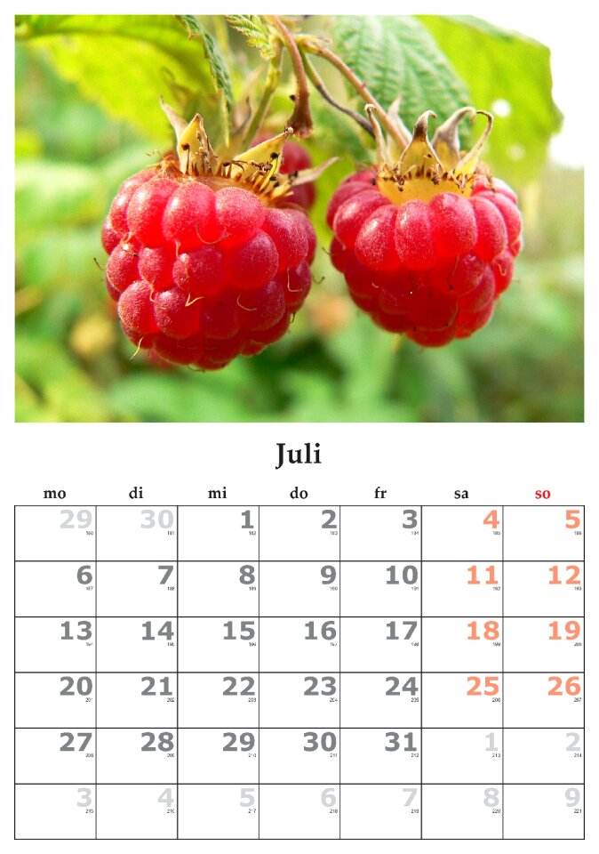 Month july july 2015