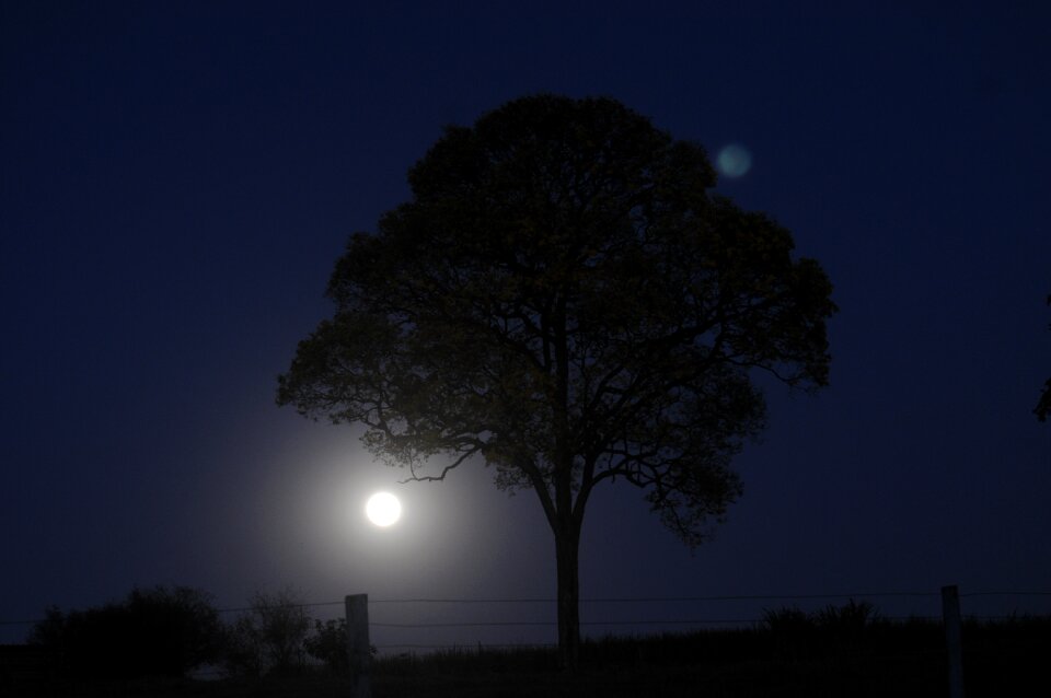 Moonlight nocturne sky