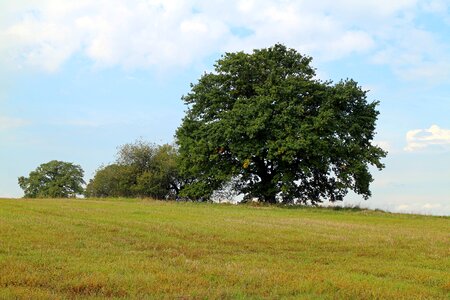 Sky meadow green photo