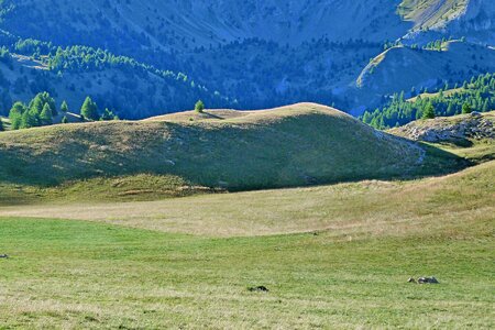 Alps mountain pastures summer photo