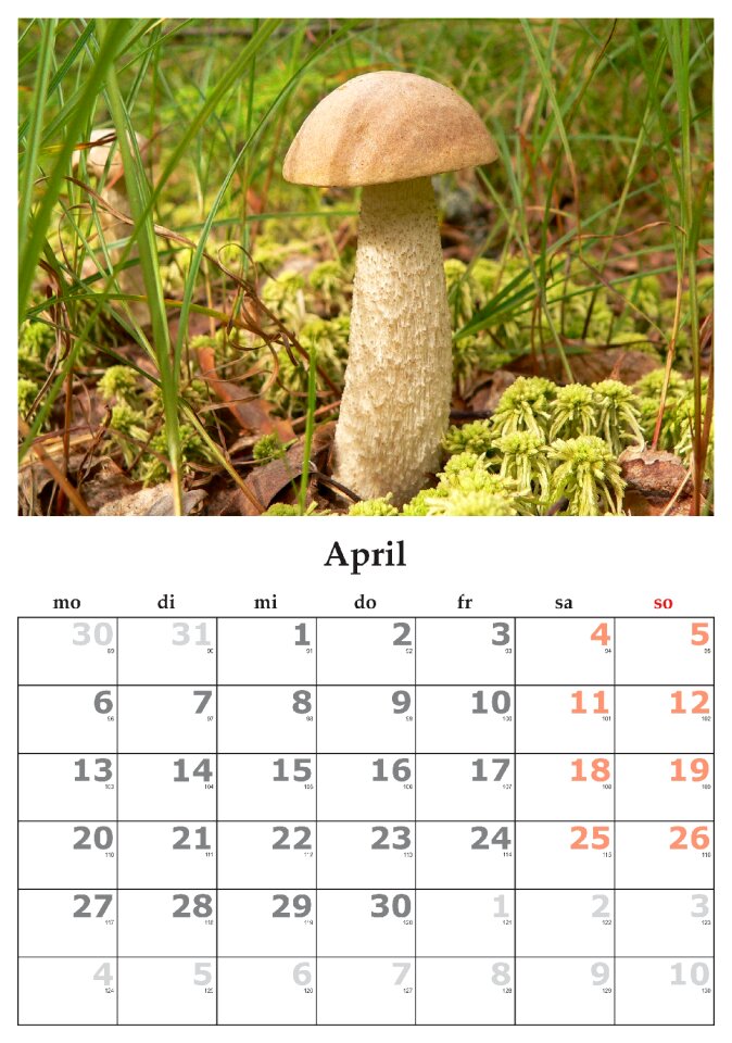 Month april april 2015