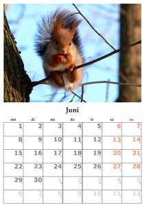Month june june 2015