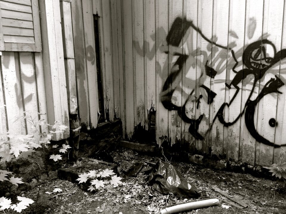 Culture paint spray