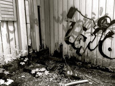 Culture paint spray