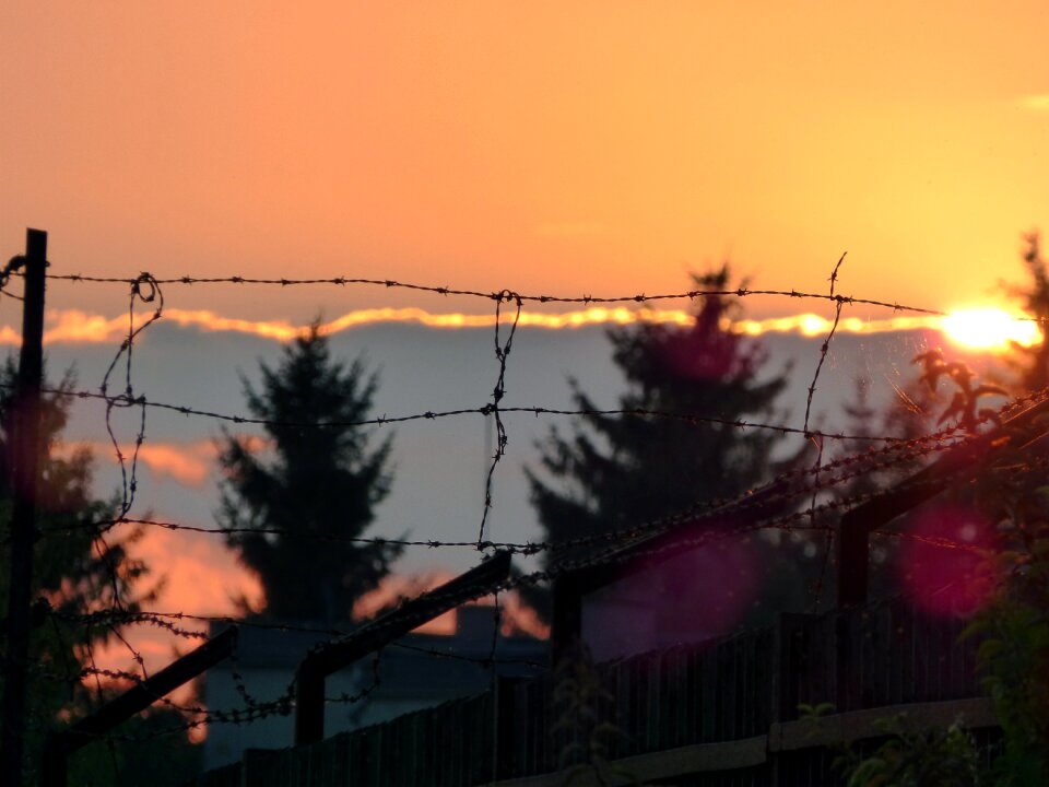 Barbed wire bondage fencing