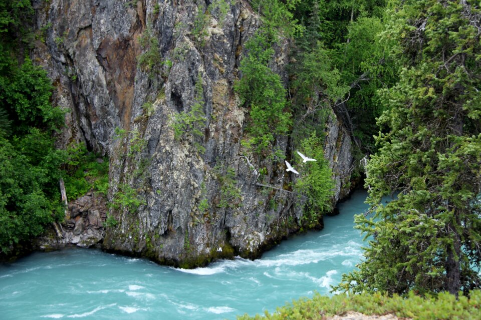 Nature water river