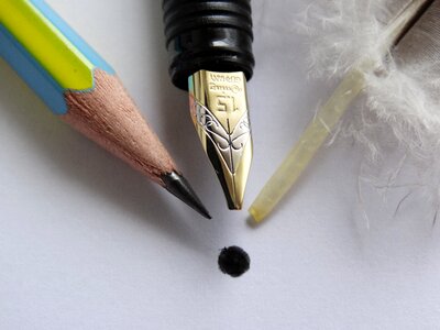 Fountain pen filler feather