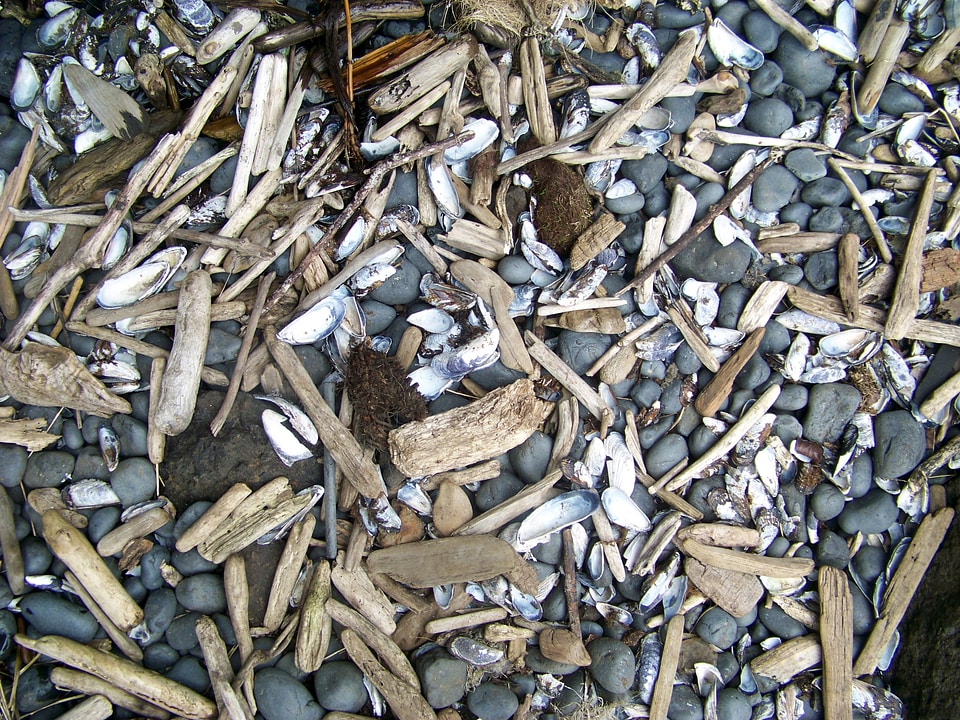 Pebbles rocks background