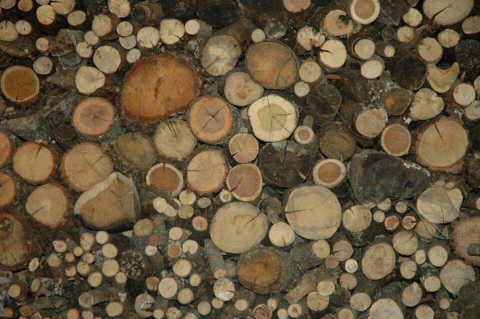 Tribe tree trunk wood pile