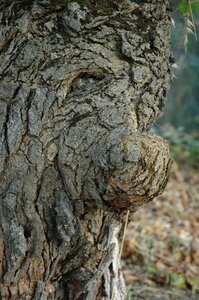 Old elderly sprookjesachtg