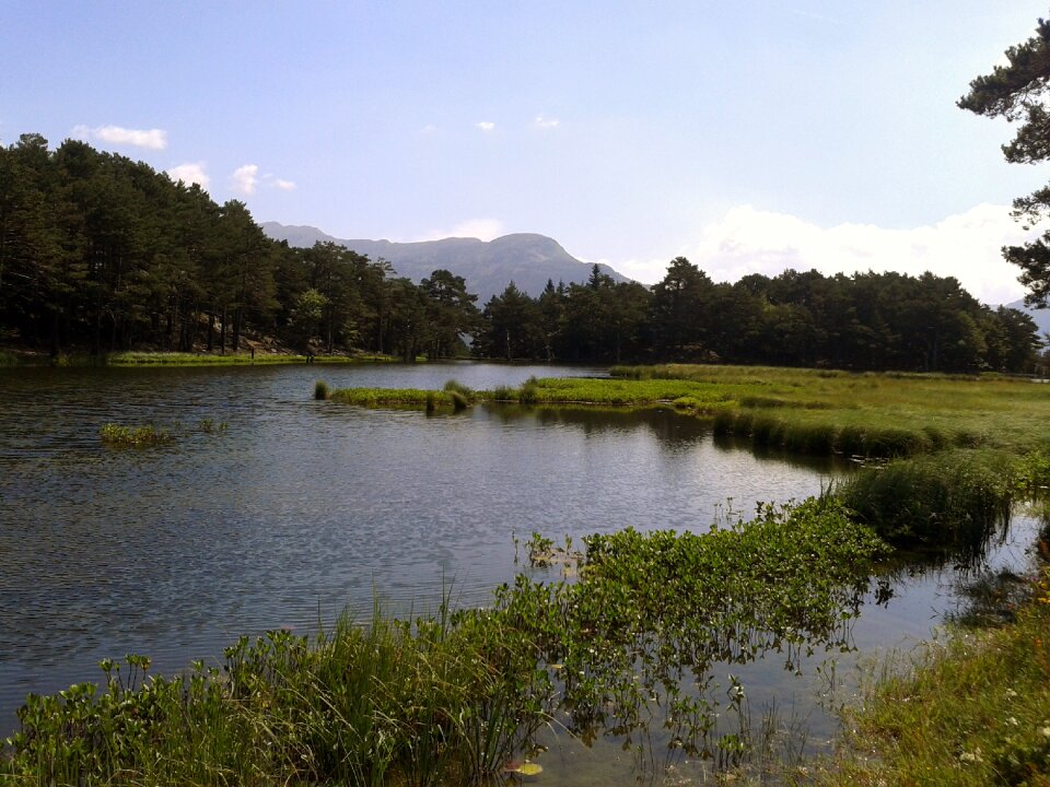 Outdoors water nature