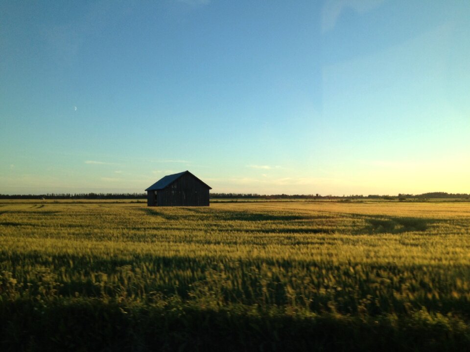Barn landscape field