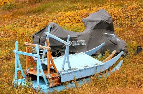 Sleigh dog sled vehicles