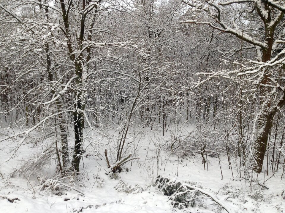 Winter holland netherlands