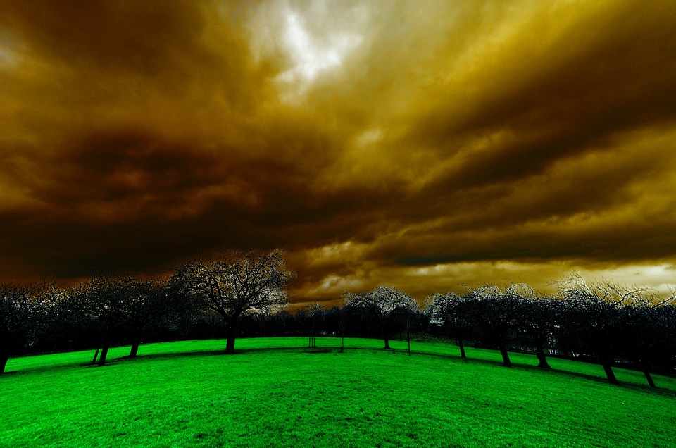 Clouds trees grass