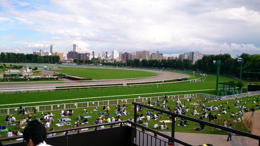Horse racing horse gambling