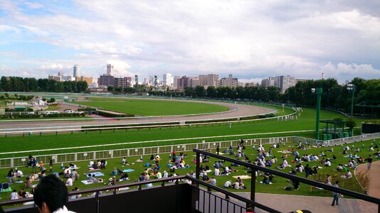 Horse racing horse gambling photo