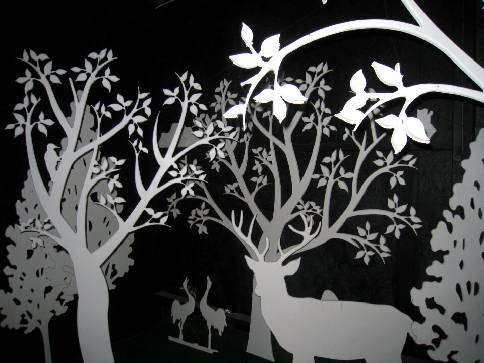 Animals black white