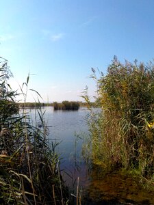 Nature grass water