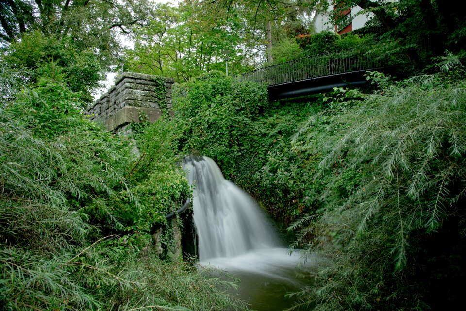 Long exposure bach nature