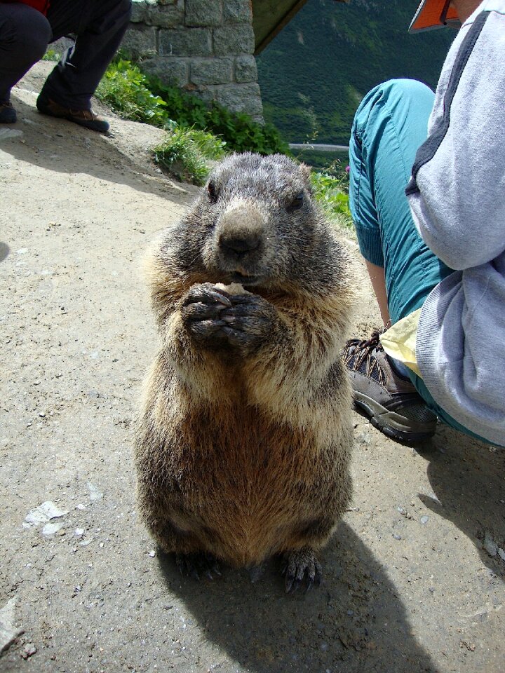 Eating begging enjoy