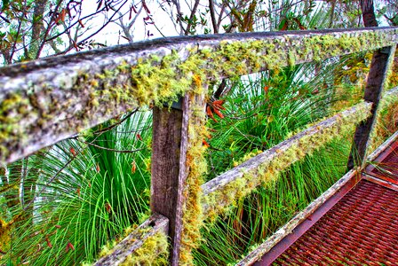 Wooden old surface