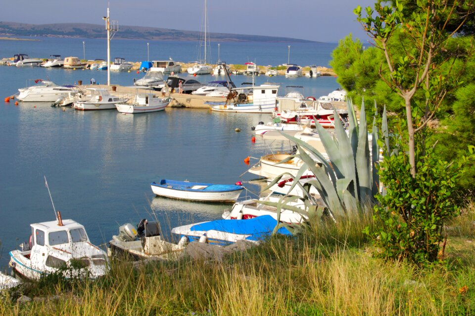 Sea povljana croatia