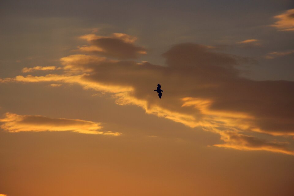 Clouds sky heaven photo