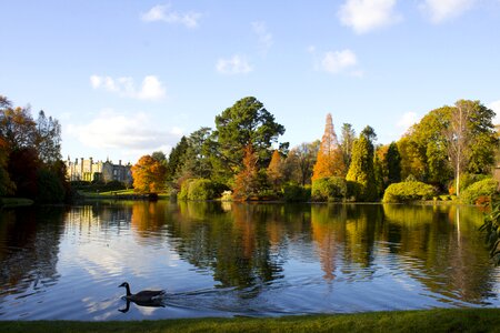 Autumn water colourful photo