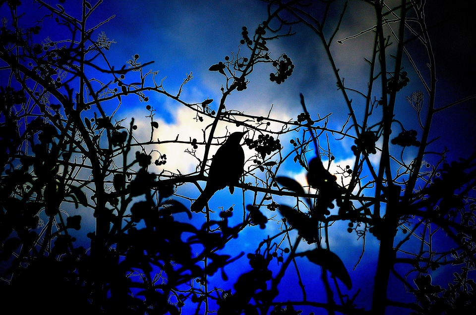 Effects blue sky