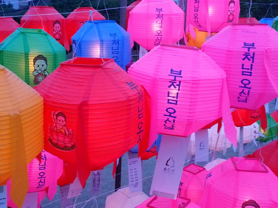 Lotus korea seoul