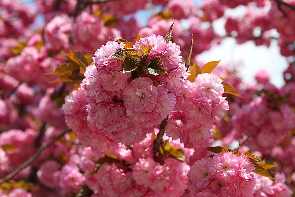 Colors spring season