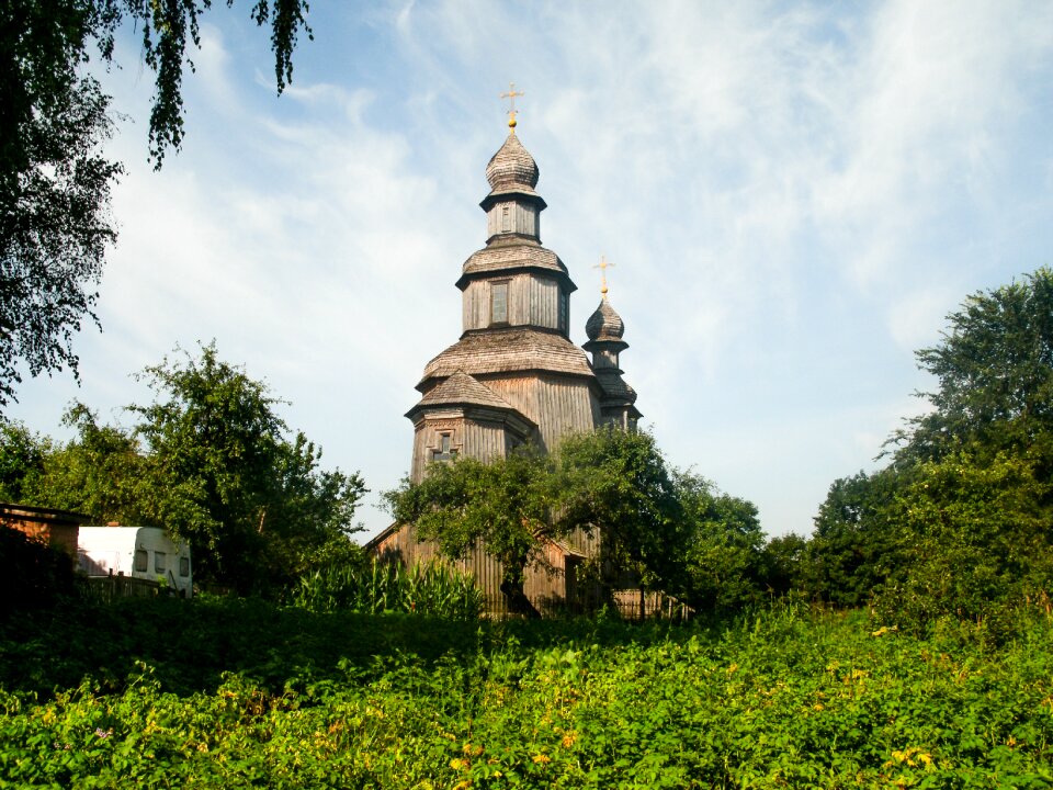 Trees cross domes