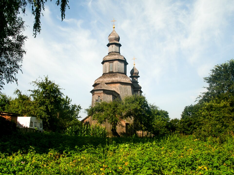 Trees cross domes photo