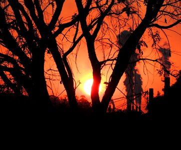 Sol sunset against light