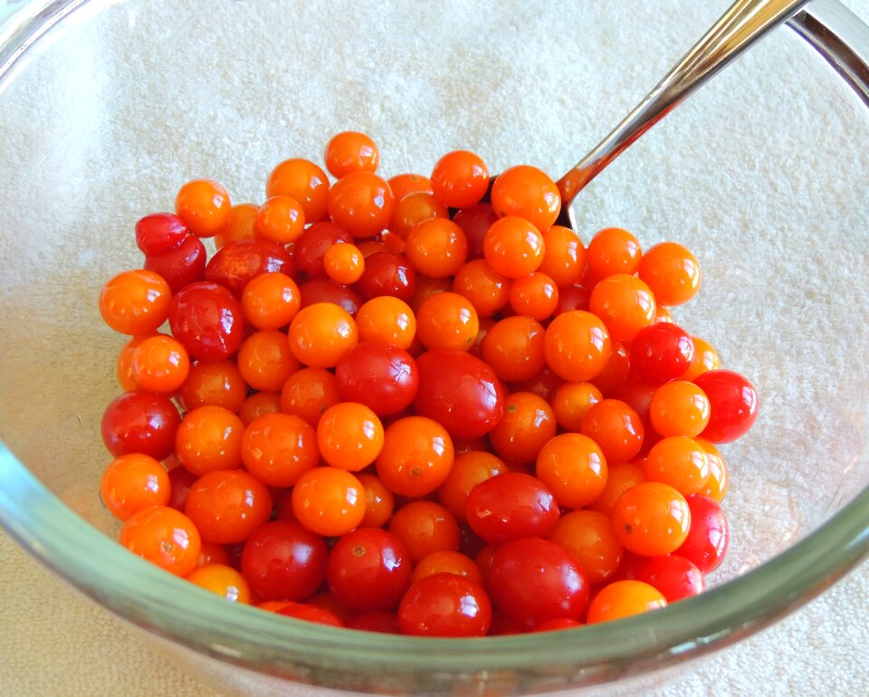 Tomato cherry ripe