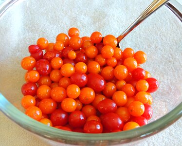 Tomato cherry ripe photo