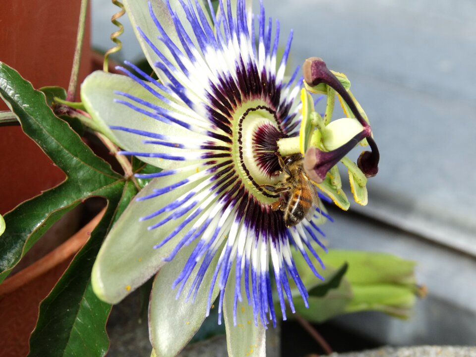 Nature color beautiful