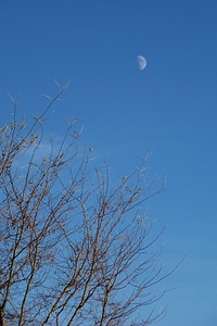 Clear blue daytime photo