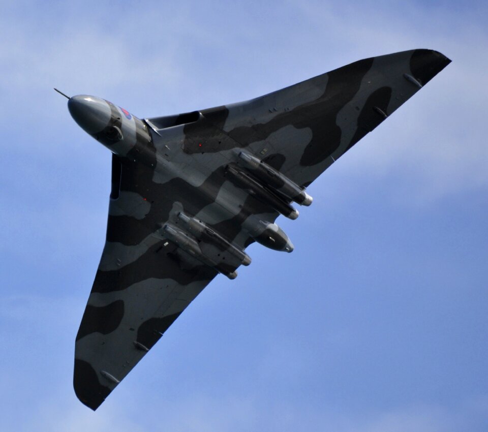 Aircraft flight delta wing