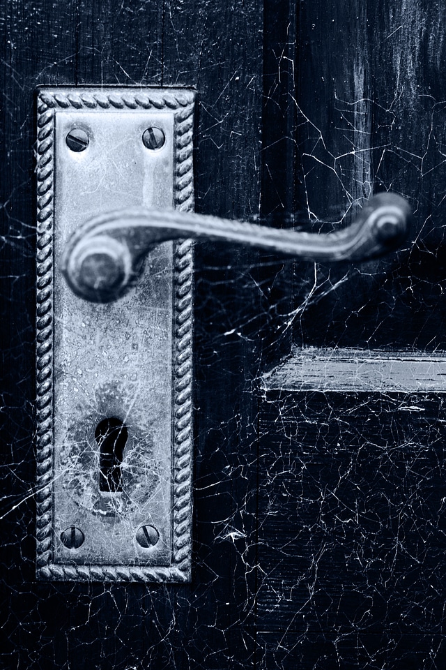 Detail dirty door