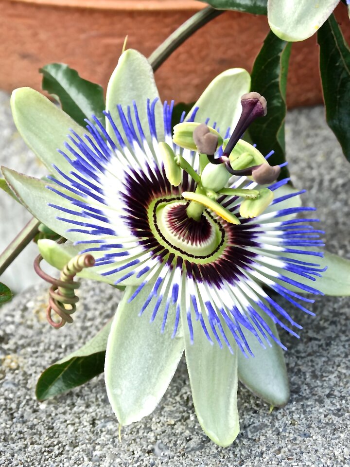 Nature color beautiful